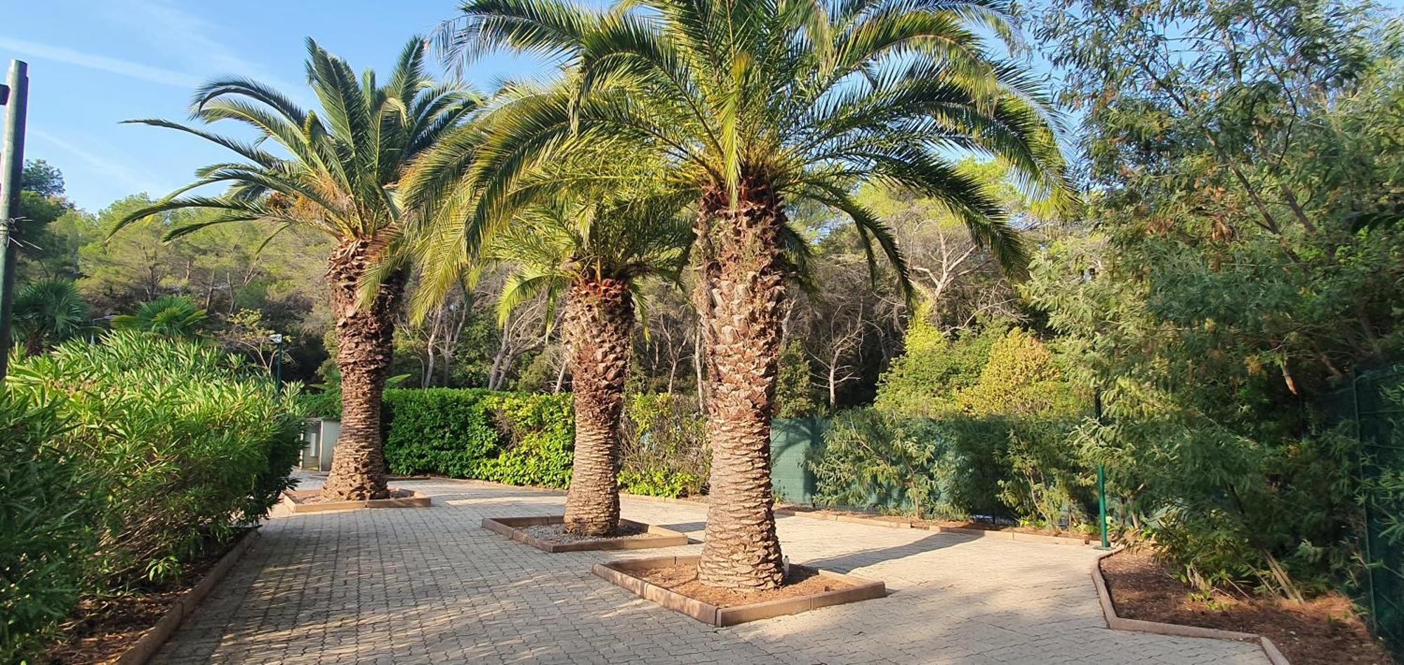 Villa Harmony Vallauris Exterior photo